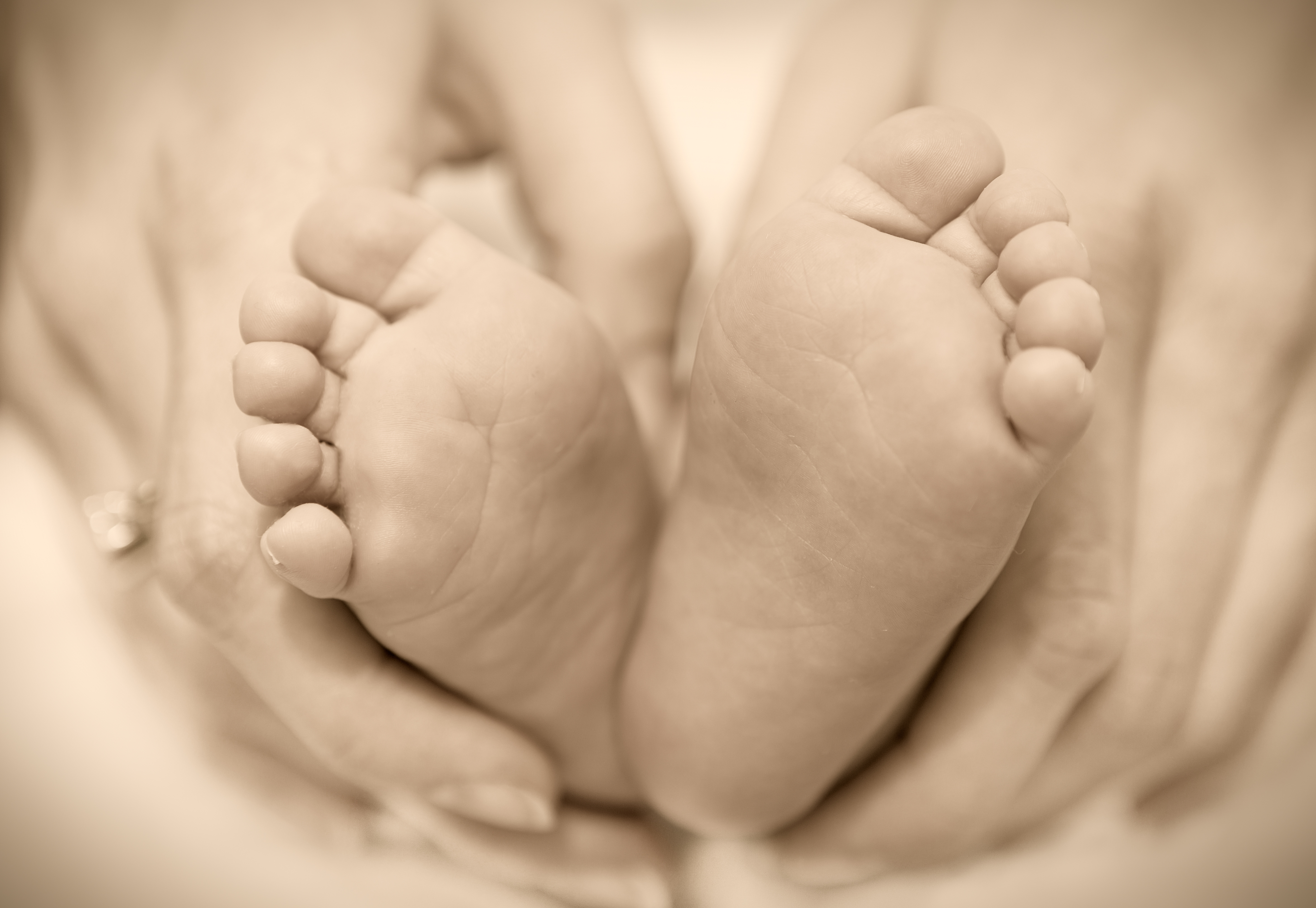 newborn baby feet on female hands